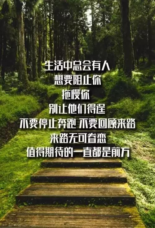 不求上進，好食懒飛。莫道枯坐失良機打一正确生肖请全面2释义、解释与落实、定量解答解释落实