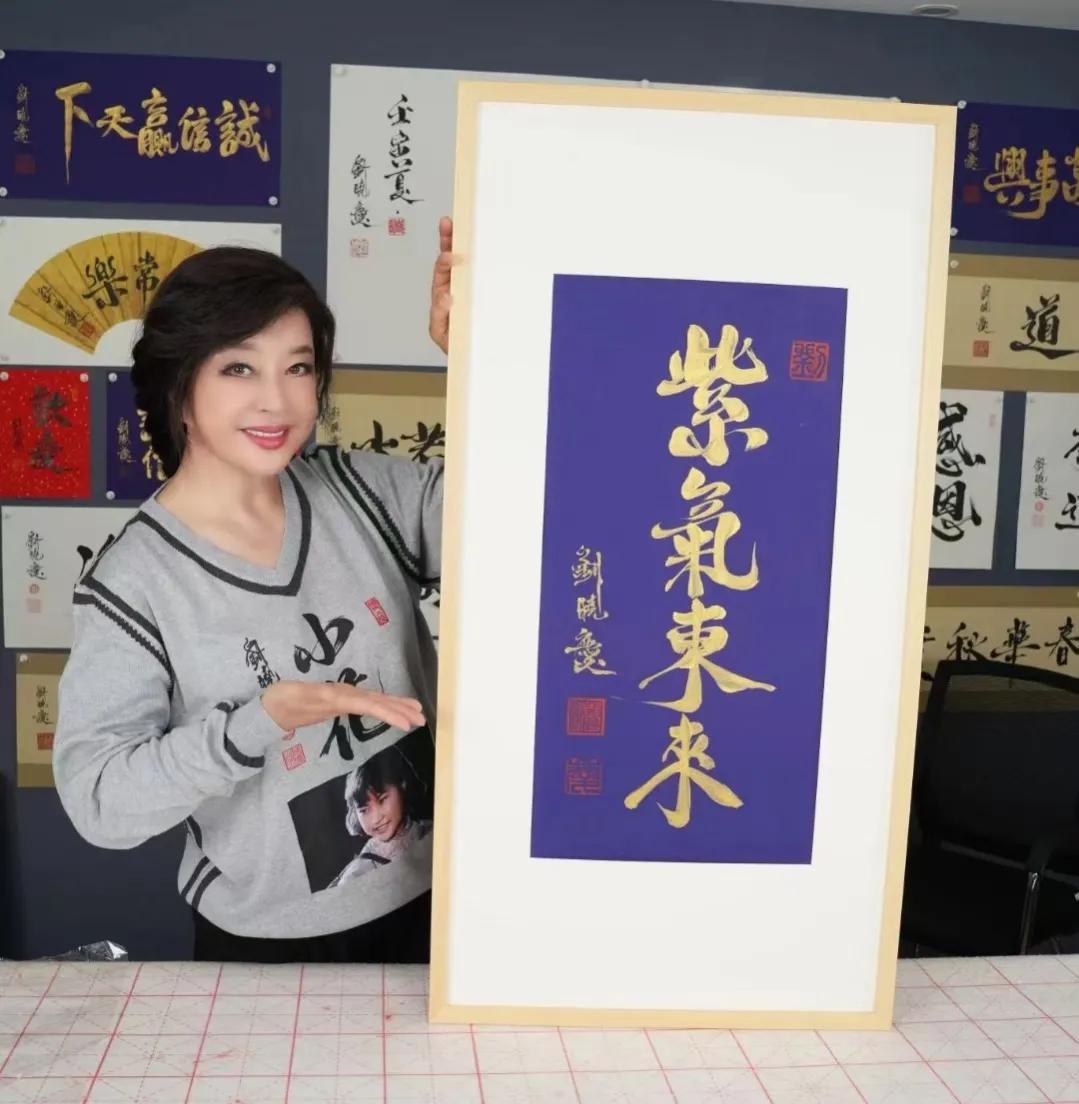 西天取经它不去却当土匪虎作皮是什么生肖，详细解答、前沿解答解释落实