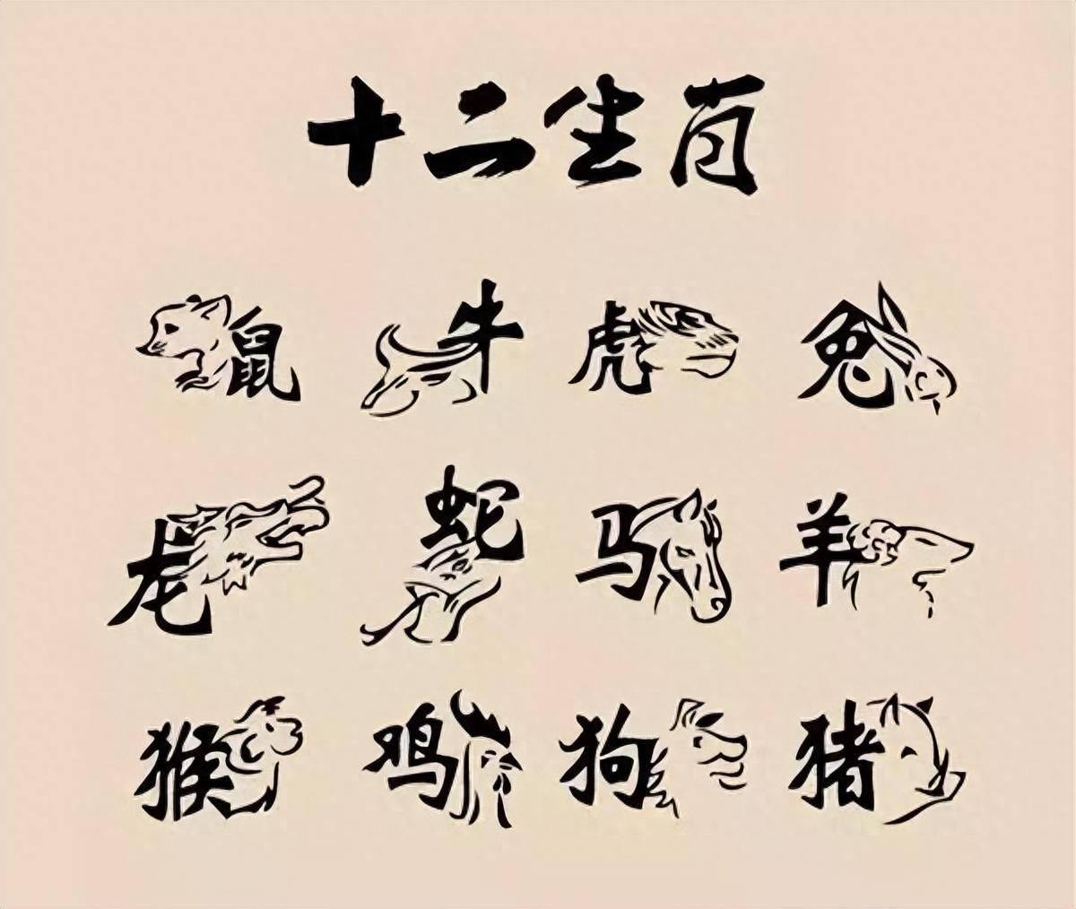 满坐寂然打一准确生肖的全面释义、解释与落实、构建解答解释落实
