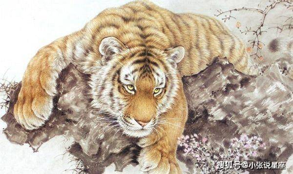 满坐寂然打一准确生肖的全面释义、解释与落实、构建解答解释落实