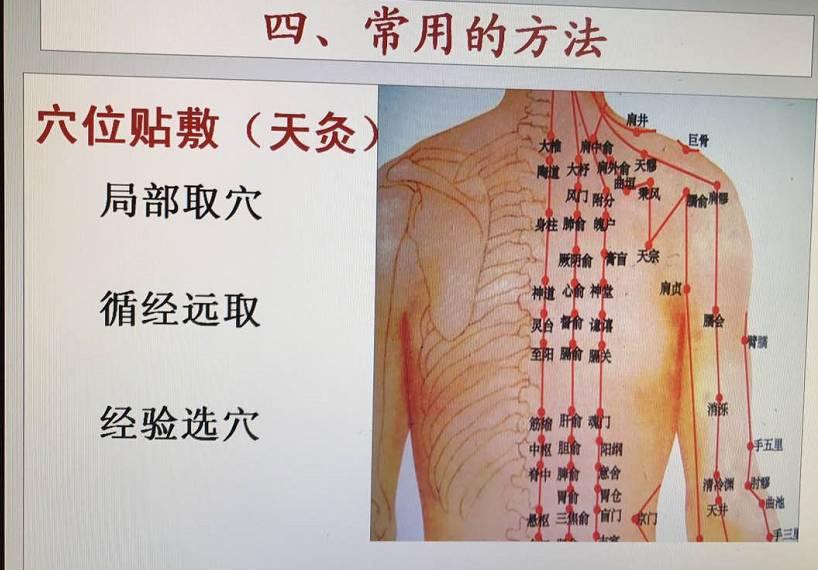五官精美献吉言,带到草原溜不见是什么生肖，详细解答、深度解答解释落实