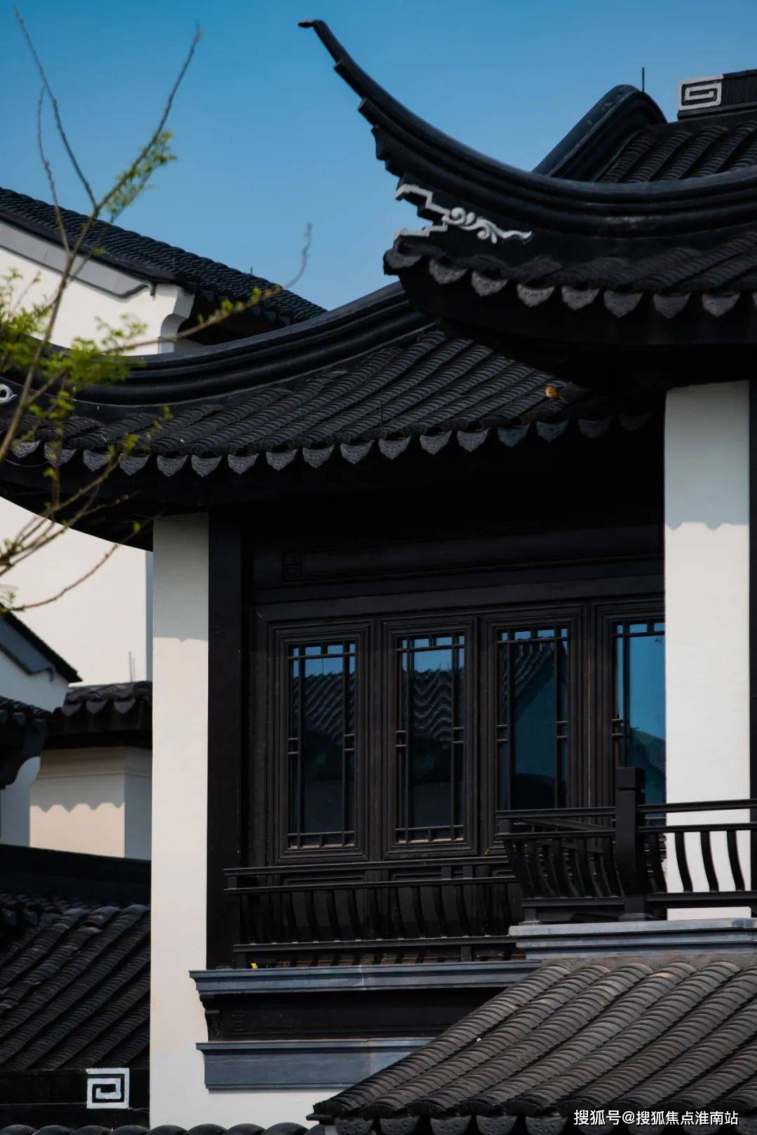 绿绿草原任马行，龙争虎斗不分离打一正确生肖，详细解答、实时解答解释落实